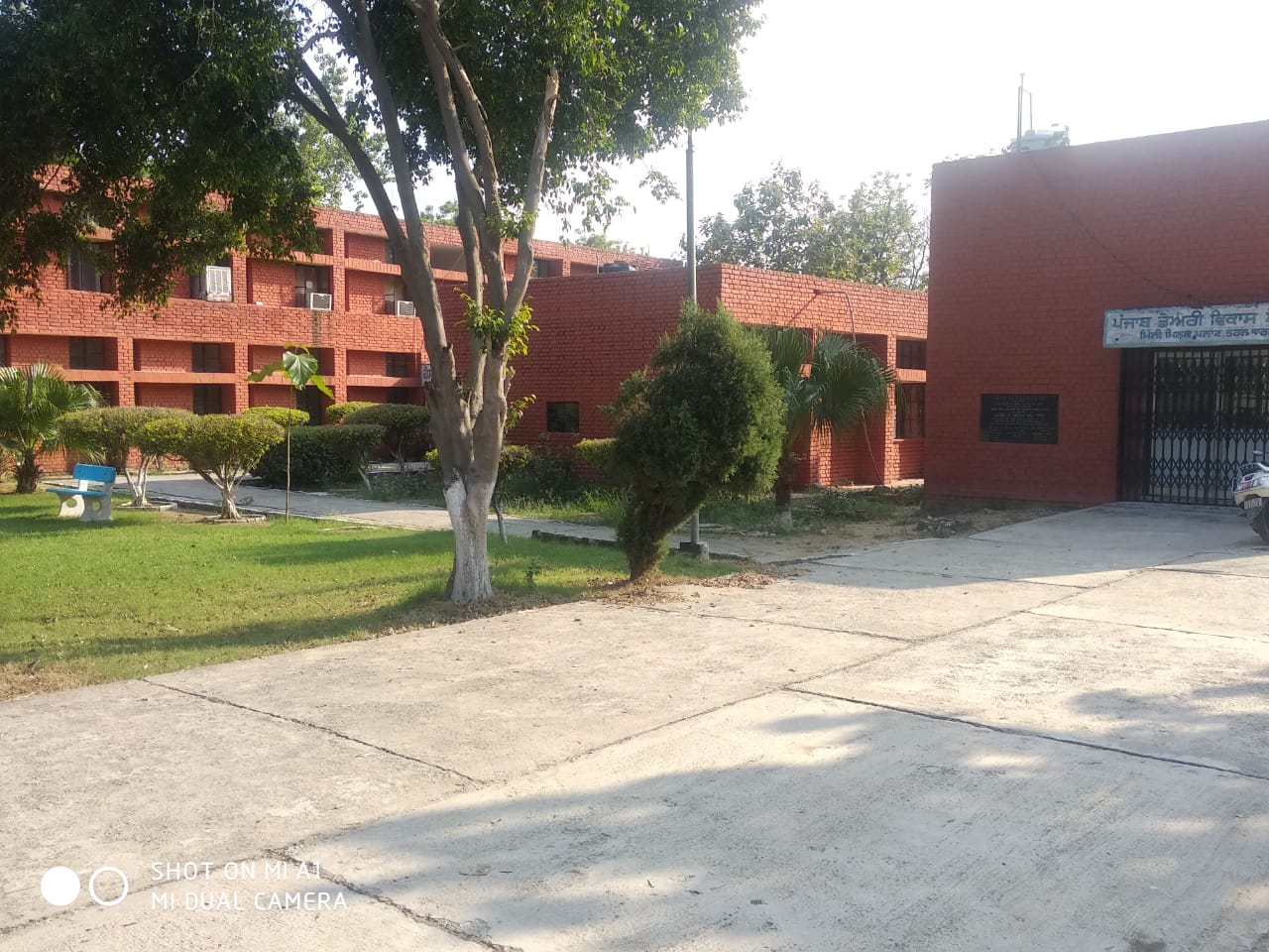 PUNJAB DAIRY DEVELOPMENT BOARD PDDB PUNJAB